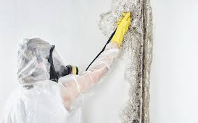 Best Mold Odor Removal Services  in Arden On The Severn, MD